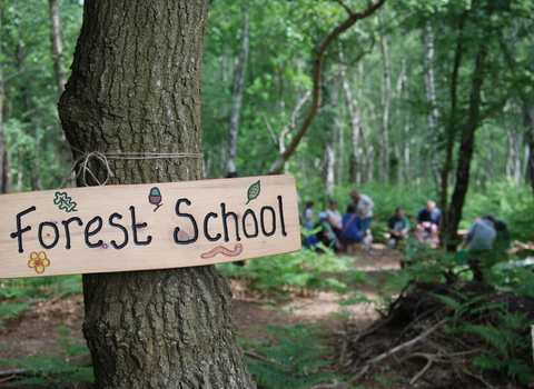 Year 1 Forest School