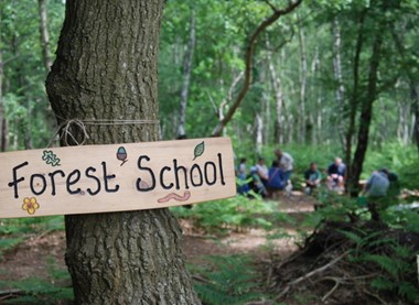 Year 1 Forest School