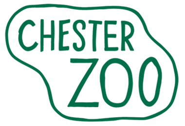 Year 4 - Chester Zoo - 2024